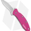 Kershaw Chive Assisted Opening Knife Pink (1.94" Bead Blast) 1600PINK -Blade HQ Kershaw Chive Assited Opening Knife Pink 1in 94cm Beadblast 1600 Pink BHQ 2218 td