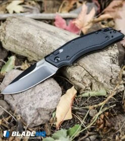 Kershaw Induction Folding Knife Black GFN (3.125" Two-Tone) 1905 -Blade HQ Kershaw Induction Folding Knife Black GFN Two Tone 1905 BHQ 34432 kp woods web