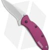 Kershaw Scallion Assisted Opening Knife Purple (2.25" Bead Blast) 1620PUR 1 Kershaw Scallion Assisted Opening Knife Purple (2.25" Bead Blast) 1620PUR -Blade HQ Kershaw Scallion purple bb BHQ 14804 er