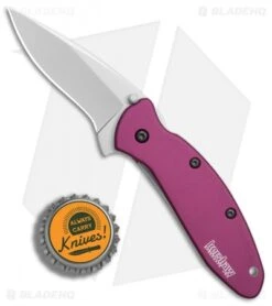 Kershaw Scallion Assisted Opening Knife Purple (2.25" Bead Blast) 1620PUR 9 Kershaw Scallion Assisted Opening Knife Purple (2.25" Bead Blast) 1620PUR -Blade HQ Kershaw Scallion purple bb BHQ 14804 er bottlecap