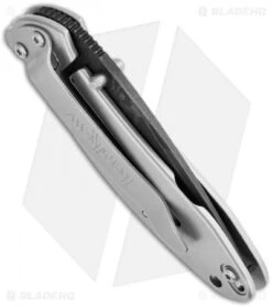 Kershaw Scallion Assisted Opening Knife (2.25" Damascus) 1620DAM 7 Kershaw Scallion Assisted Opening Knife (2.25" Damascus) 1620DAM -Blade HQ kershaw 1620dam scallion damascu plain side