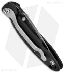 Kershaw Chive Assisted Opening Knife Black (1.94" Damascus) 1600DAMBK 7 Kershaw Chive Assisted Opening Knife Black (1.94" Damascus) 1600DAMBK -Blade HQ kershaw black damascus plain 1600damckt chive side