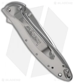 Kershaw Leek Assisted Opening Knife Polished (3" Polish) 1660SS 8 Kershaw Leek Assisted Opening Knife Polished (3" Polish) 1660SS -Blade HQ kershaw leek 1660 ss back