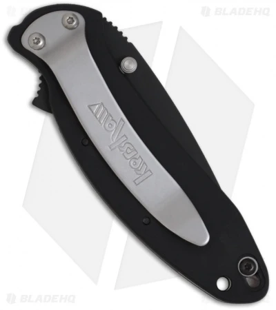 Kershaw Scallion Assisted Opening Knife Black (2.25" Black) 1620ALBLK 4 Kershaw Scallion Assisted Opening Knife Black (2.25" Black) 1620ALBLK - Image 2